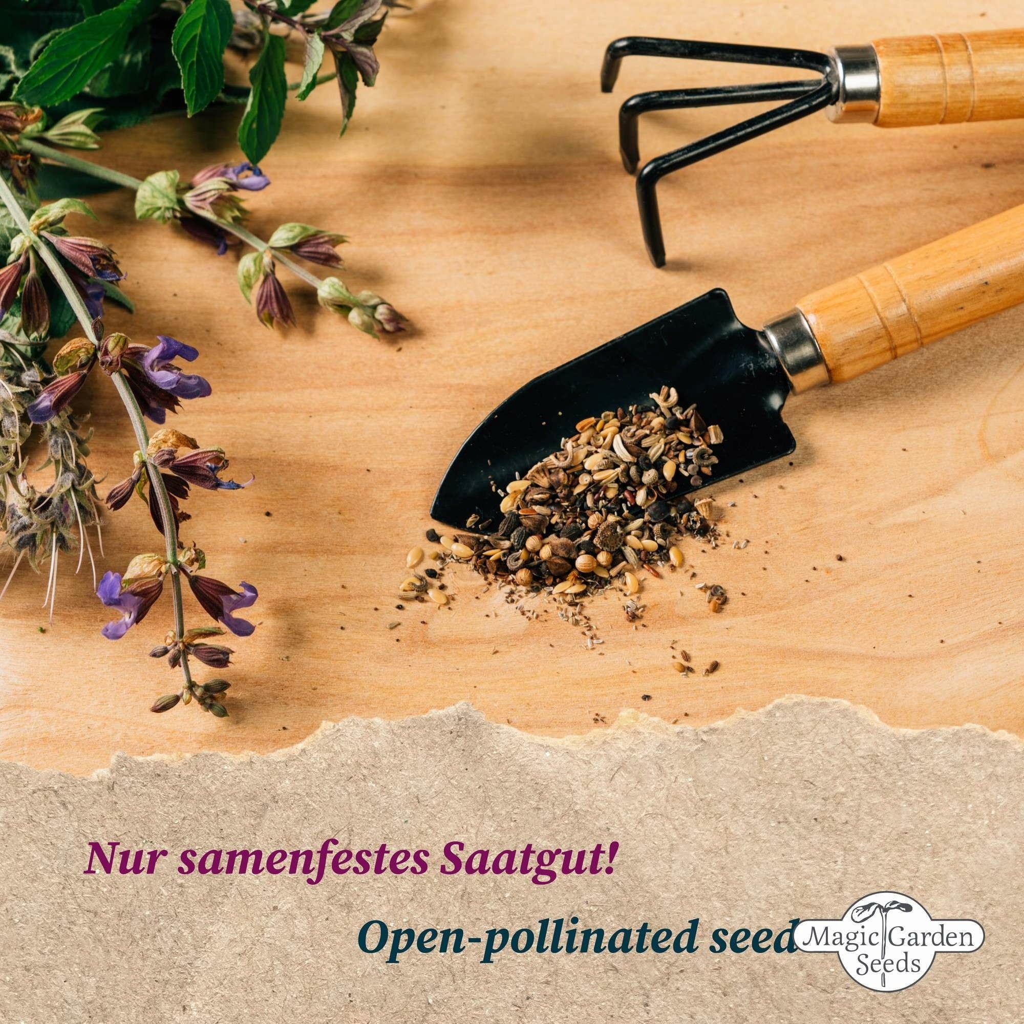 Magic Garden Seeds Klassischer Bauerngarten - Samenset - 1 Set