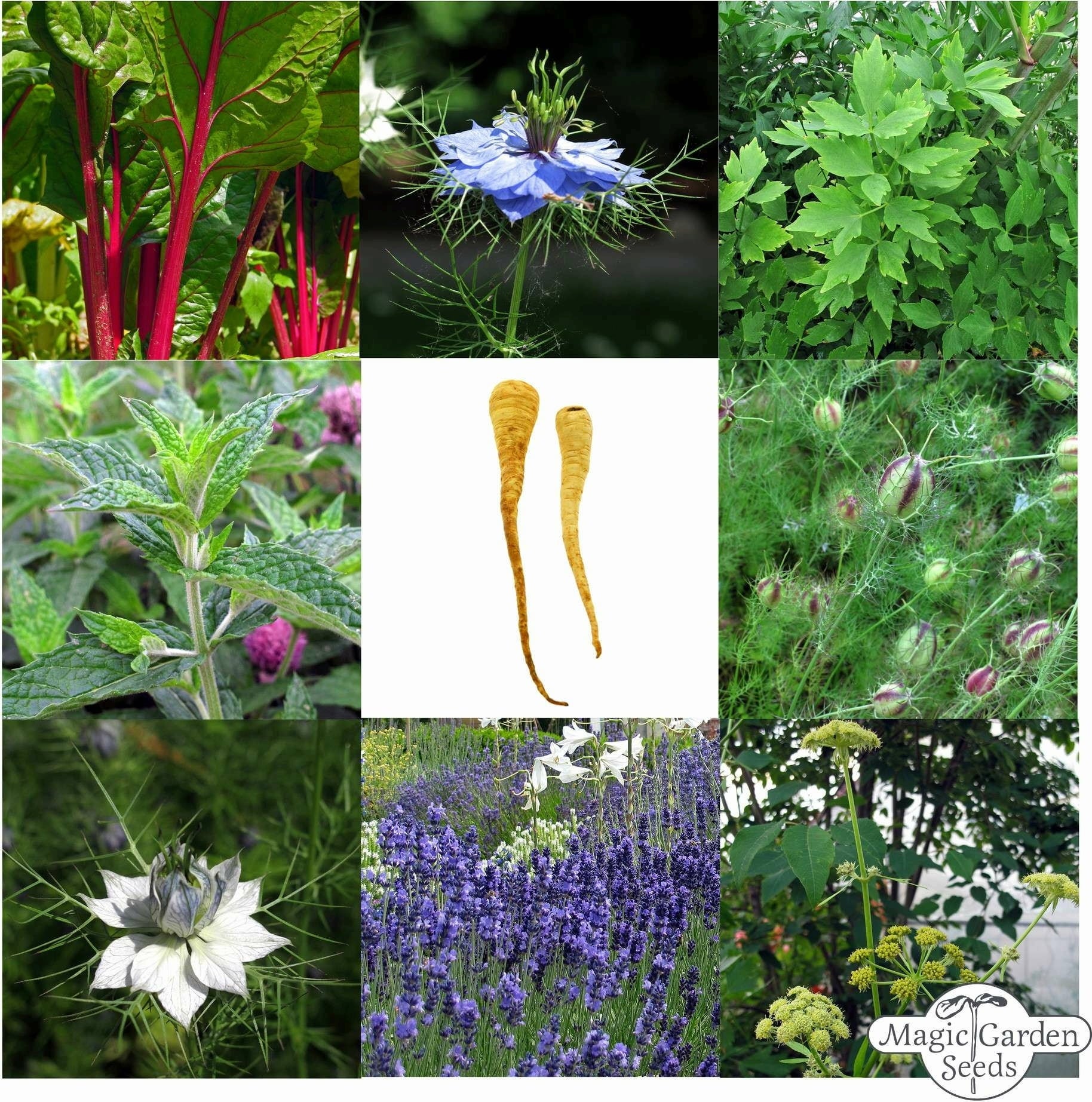 Magic Garden Seeds Klassischer Bauerngarten - Samenset - 1 Set
