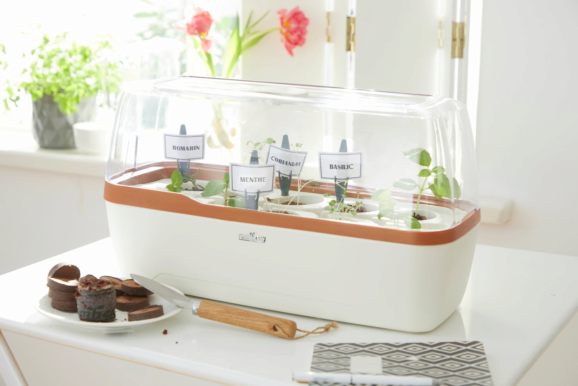 Gewächshaus & Pflanzkasten L - BoQube in Creme-Kupfergold - Creme-Kupfergold