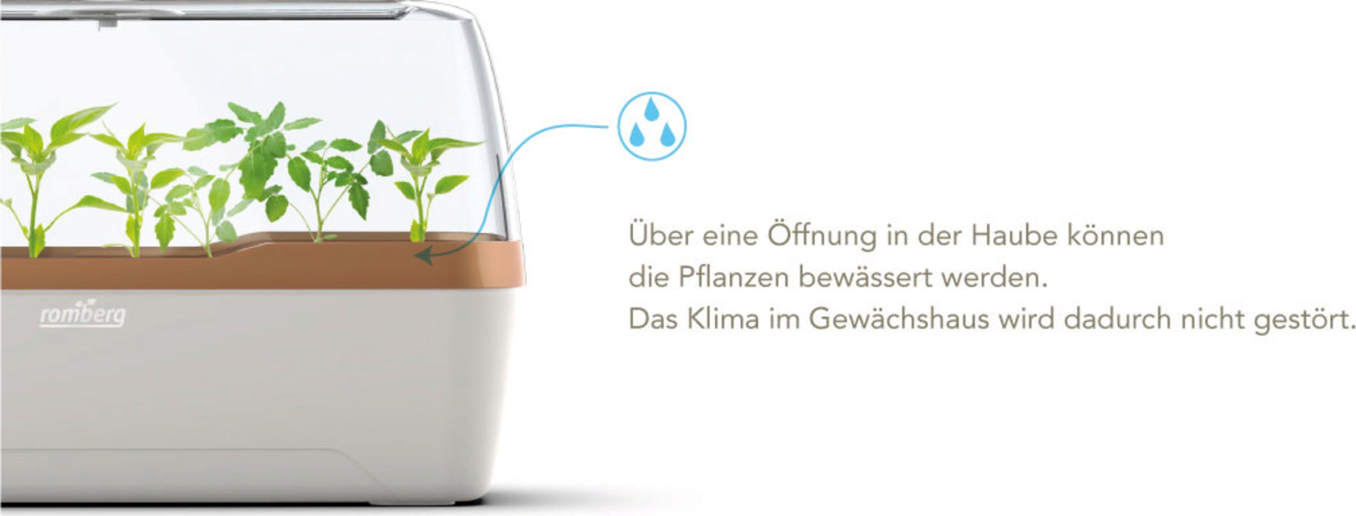 Gewächshaus & Pflanzkasten L - BoQube in Creme-Kupfergold - Creme-Kupfergold