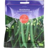 Buschbohne "Doppelte holländische Prinzess"