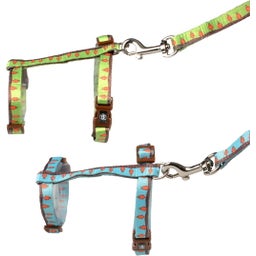 Duvoplus Kaninchengeschirr + Leine - Carrot