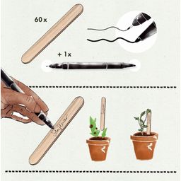 Own Grown Pflanzstecker 50er mit Stift
