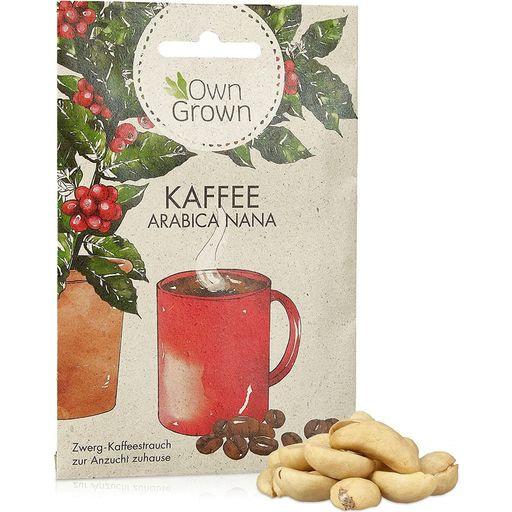 Own Grown Kaffee Arabica Samen - 1 Pkg