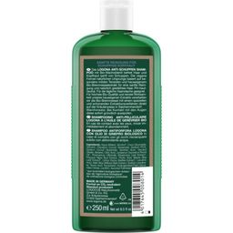LOGONA Anti-Schuppen-Shampoo - 250 ml