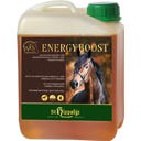St. Hippolyt WES Energy Boost