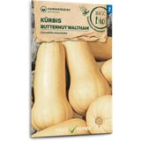 Samen Maier Bio Kürbis "Butternut"