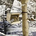 Windhager Baumhalterung für Vogelhäuser - 1 Stk