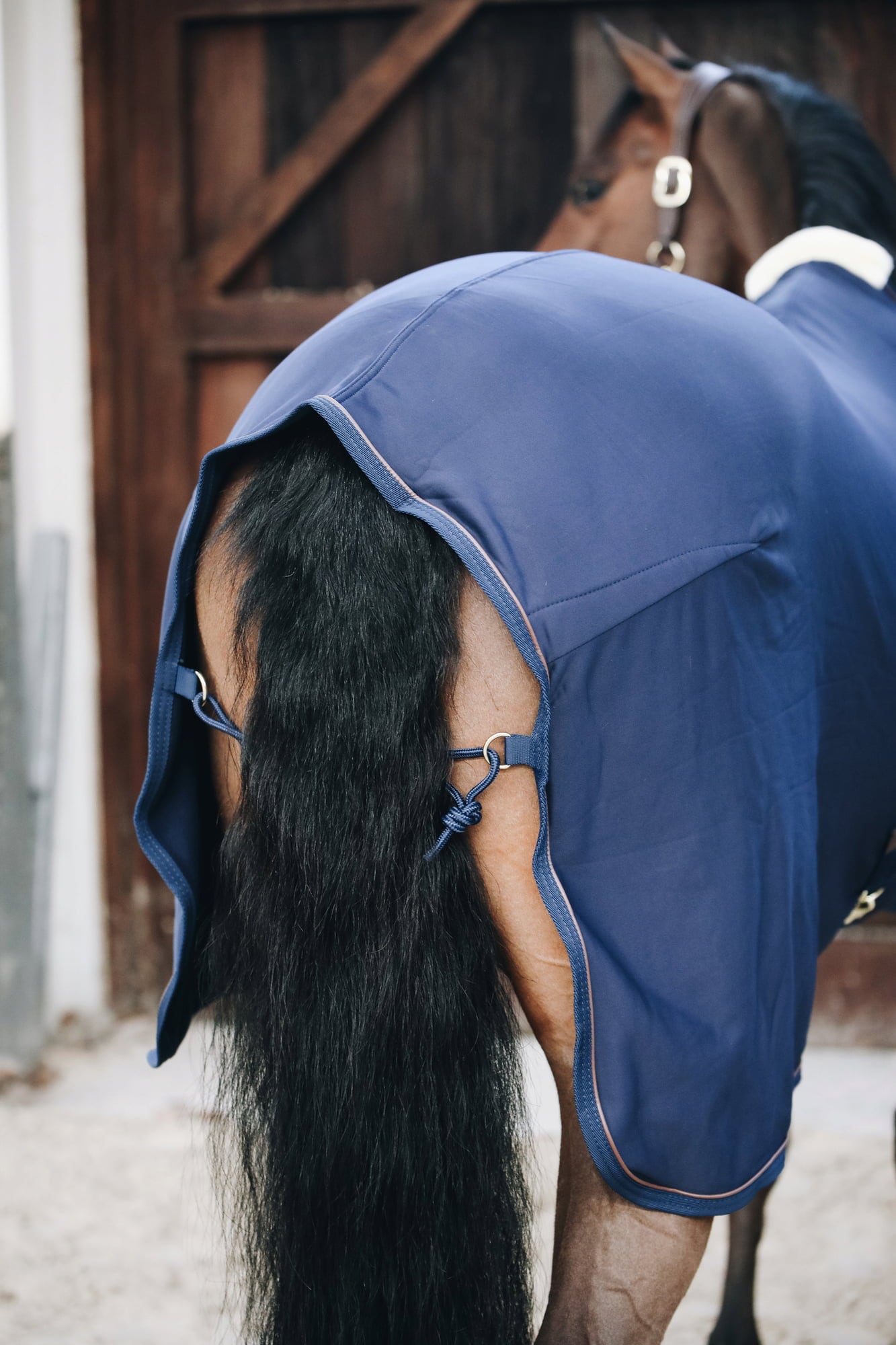 Kentucky Horsewear Abschwitzdecke 