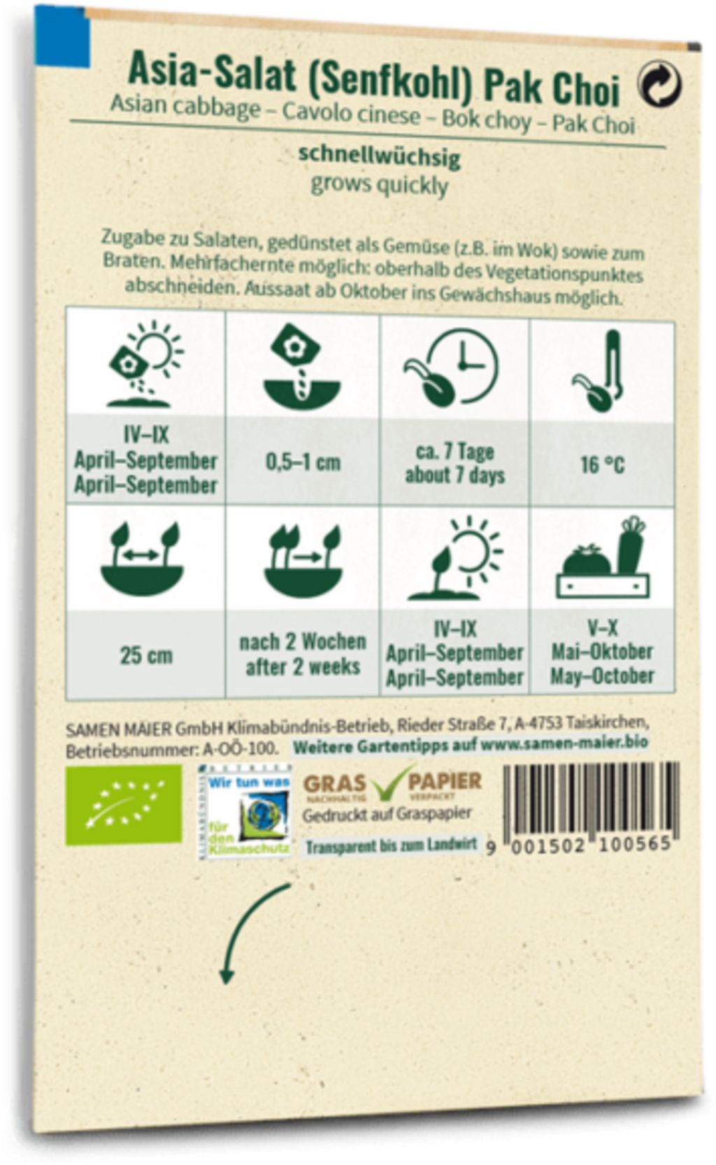 Samen Maier Bio Asia-Salat - Senfkohl (Pak Choi)