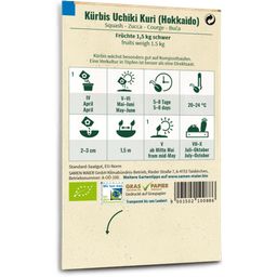 Bio Kürbis, Riesen-, Uchiki Kuri 