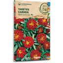 Samen Maier Bio Tagetes 