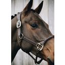 Kentucky Horsewear Lederhalfter 