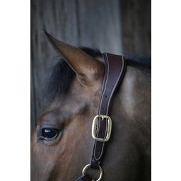 Kentucky Horsewear Lederhalfter 