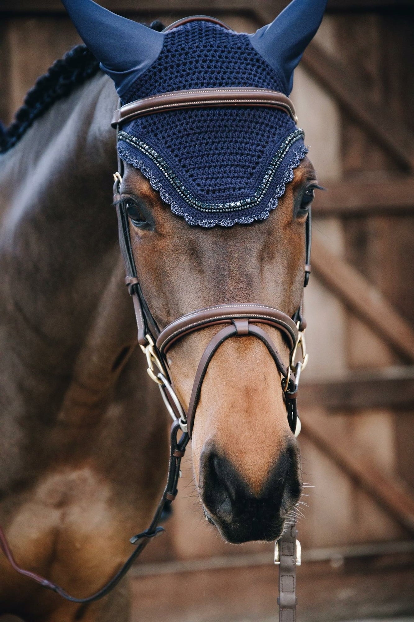 Kentucky Horsewear Fliegenohren 