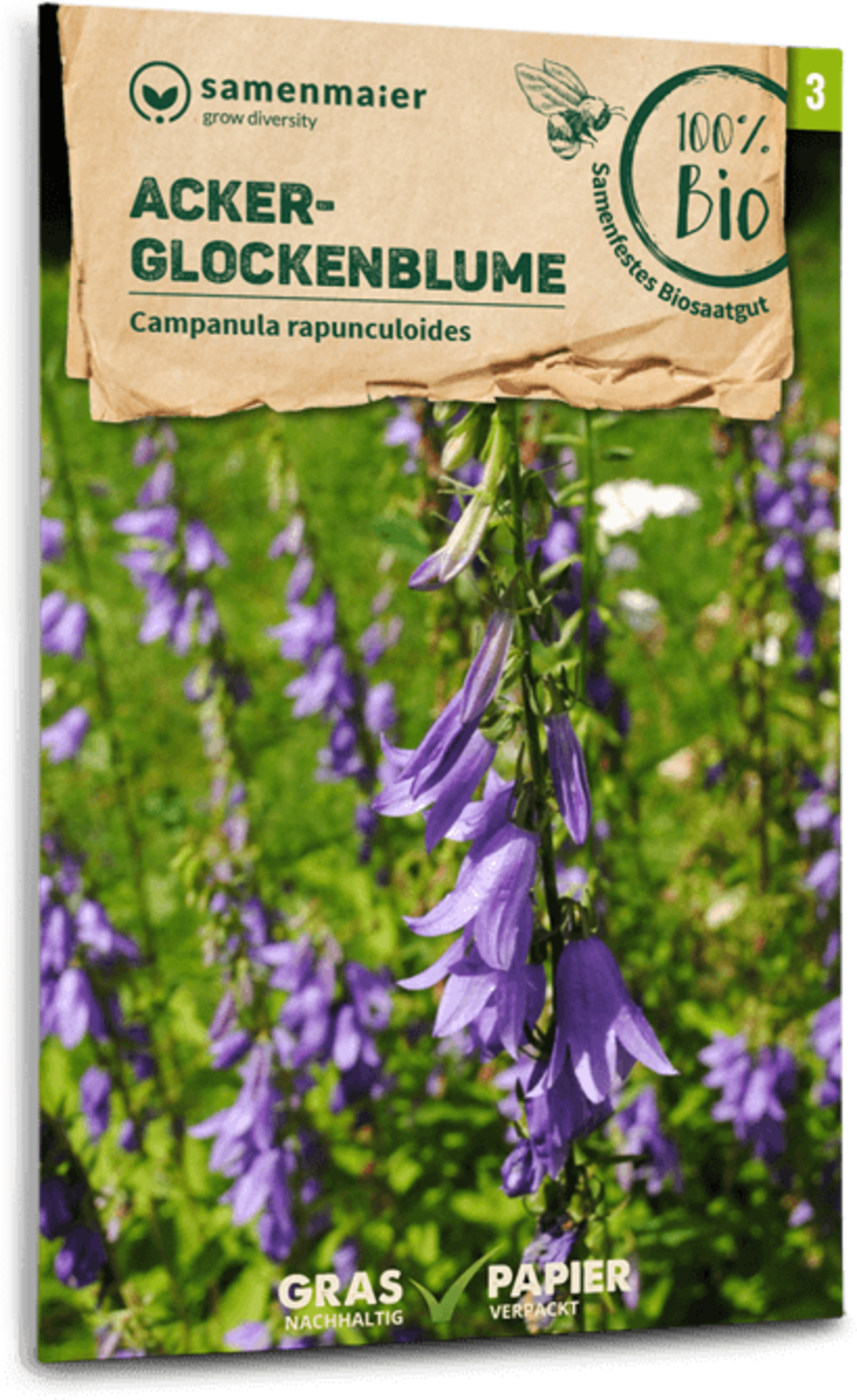 Bio Wildblume Acker-Glockenblume