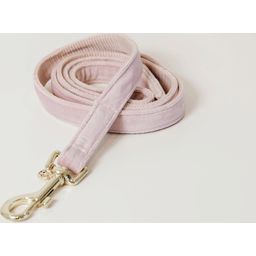 Kentucky Dogwear Hundeleine velvet soft rose - 120 cm