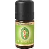 Primavera Weihrauch indisch