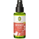 Primavera Beschütz mich Raumspray KIDS bio - 50 ml