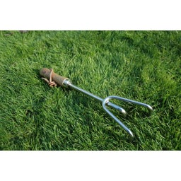 Esschert Design Edelstahl-Harke - 1 Stk