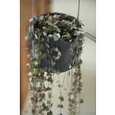 elho Hängetopf 18cm b.for swing - anthrazit