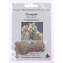 TROPICA Zierapfel - 1 Pkg