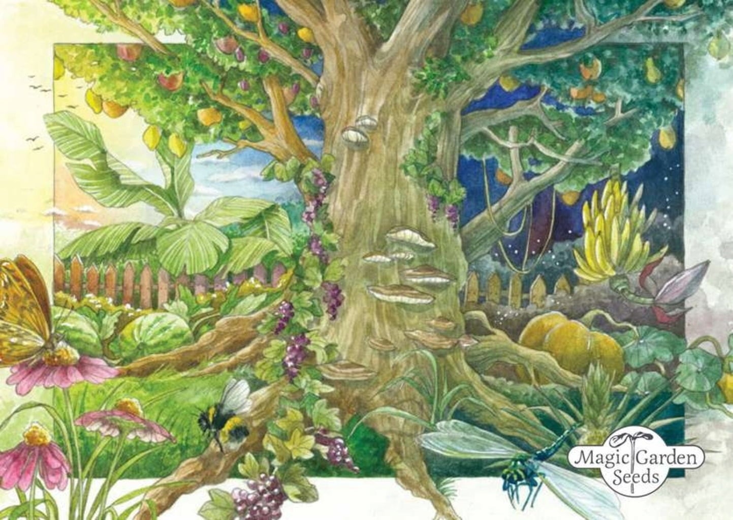 Magic Garden Seeds Heilende Bergkräuter - Samenset