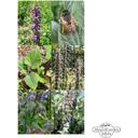 Magic Garden Seeds Bienenweide - Samenset