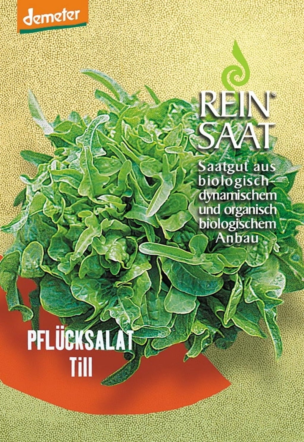 ReinSaat Salat 