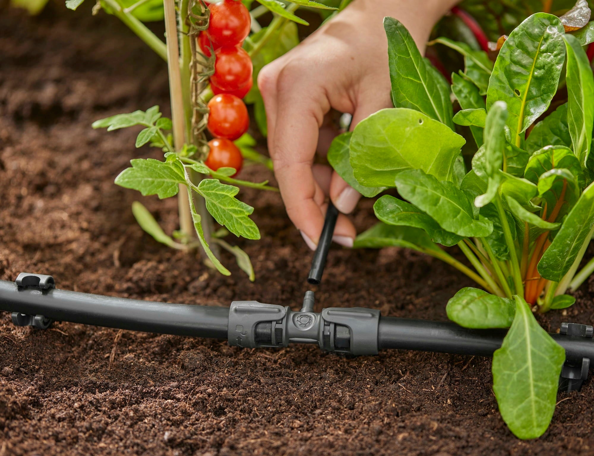 Micro-Drip-System T-Stück 13 mm (1/2