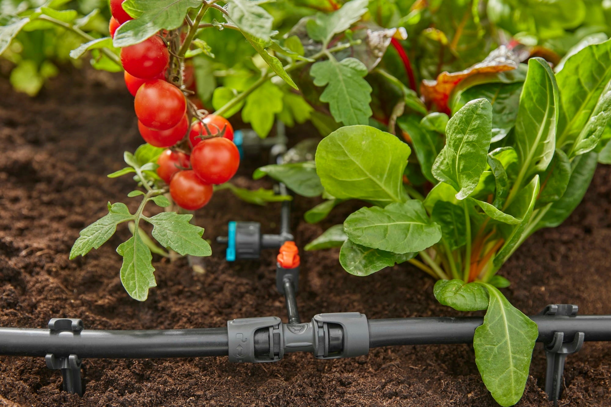 Micro-Drip-System T-Stück 13 mm (1/2