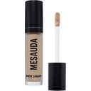 MESAUDA PRO LIGHT CONCEALER - C30