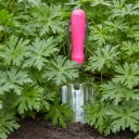 Burgon & Ball Kelle - Rosa