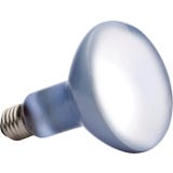 Exo Terra Daylight Basking Spot