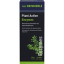 Plant Active Enzymes