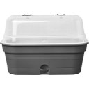 Anzuchtschalen-Set green basics allin1 - M - living schwarz