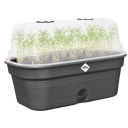 Anzuchtschalen-Set green basics allin1 - M - living schwarz