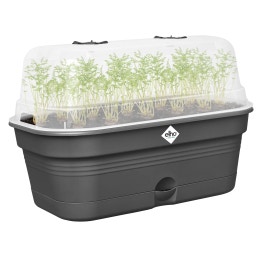 Anzuchtschalen-Set green basics allin1 - M - living schwarz