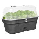 Anzuchtschalen-Set green basics allin1 - M - living schwarz