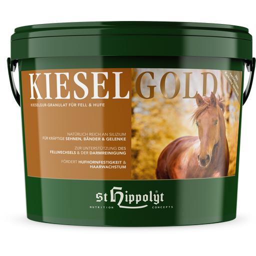St. Hippolyt Kieselgold - 10 kg