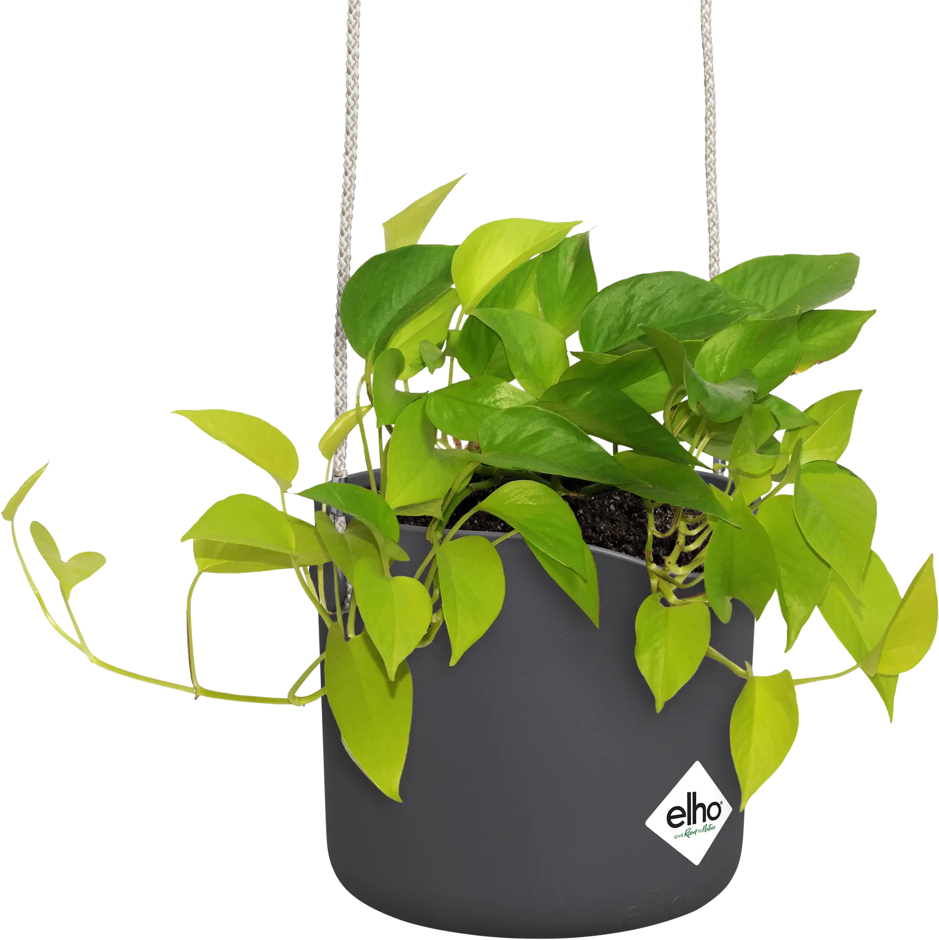 elho Hängetopf 18cm b.for swing
