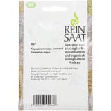 ReinSaat Kapuzinerkresse - rankend