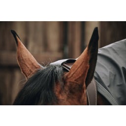 Kentucky Horsewear Regendecke