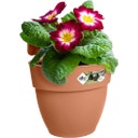 elho vibia campana easy hanger small - terra