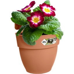 elho vibia campana easy hanger small - terra