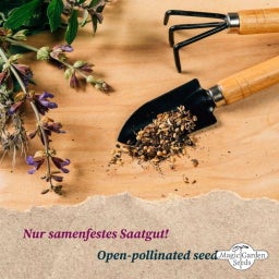 Magic Garden Seeds Bio Beeren-Naschgarten  - Geschenkset