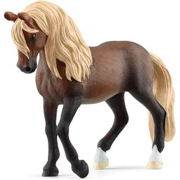 Schleich® 13952 - Horse Club - Paso Peruano Hengst