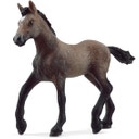 Schleich® 13954 - Horse Club - Paso Peruano Fohlen