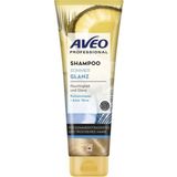 AVEO Professional Shampoo Sommer Glanz