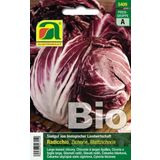 AUSTROSAAT Bio Radicchio Palla rossa 3